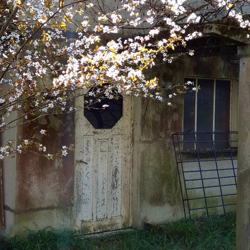 Les vieilles  portes